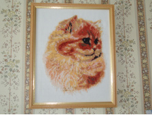 ��� ���� �� ������ �����