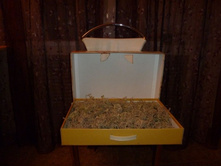 ��� ����� ������ ������� �� ���