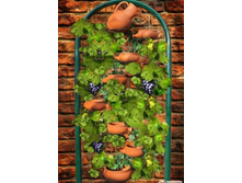 �������_(����� � ���������)hytorok1 - 8400���.jpg