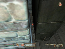 ��������_��������-����10