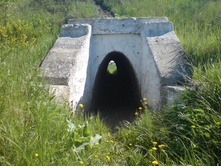 ���������� ����������� ����� ��� �������� �������