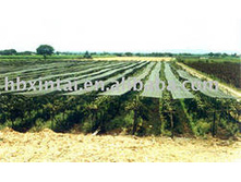 ��� ����� ��� ���������� �� - 50