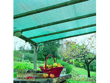 ����� ��� ���������� �� - 50