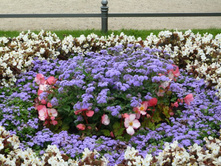 � �������� (��������)