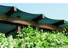 ����� ��� ���������� ��- 80