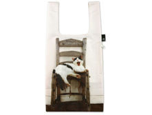 649 ���. ���.jpg