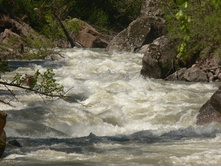 �������� ����� ��̣��� ���� ��� �����