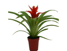 �������� ����� 2