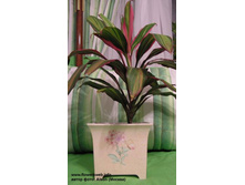 ��������� ��������