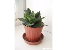 ���������� ��������