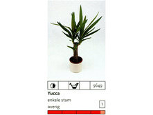 ���� 1 ���