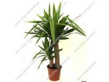 ���� 2 ���