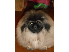 ����������� 003.jpg