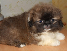 ����������� 014.jpg