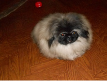 ����������� 002.jpg