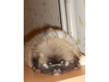 ����������� 022.jpg