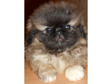 ����������� 012.jpg