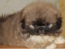 ����������� 020.jpg