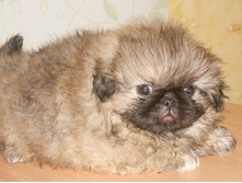 ����������� 023.jpg