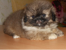 ����������� 028.jpg