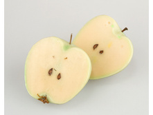 ����-����� ������