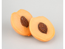 ����-����� ������