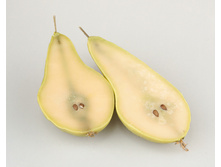 ����-����� �����