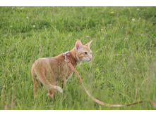 �������� � ����� ��������