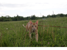 �������� � ����� ��������