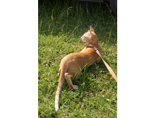 �������� � ����� ��������