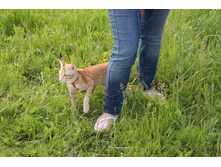 �������� � ����� ��������