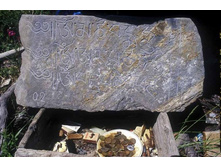 �������. �. �������