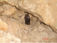 ����.. �������