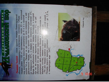 ����� ��������������