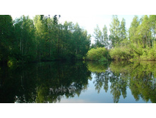 ��������� ��������� ��� ���� �����!