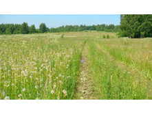 ������� ��������� ����������!