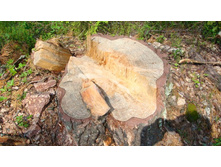 �����. ������ ��� ��� ���� ����!