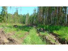 � ������������ ����...