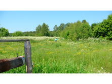 ��� ���� ���� ����� �����, � ������ ������ ��� � ������������� ����.