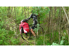 ������ ������� �� �������� ����.