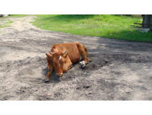 ������������ �������! ����� ����� �����!