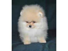 15 ���� 044.jpg