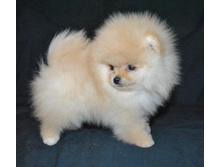 15 ���� 054.jpg