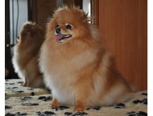 ���� 051.jpg