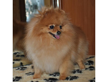 ���� 047.jpg