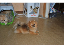 ������� ��� ��� ������ �����