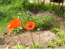 ���� � ��������