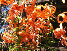 �������)