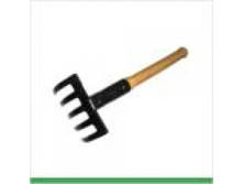 5-�� ���.� ���. 25 �.