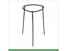 \" ���� \"  99 �.